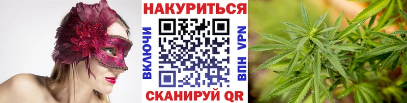 Где найти наркотики Электрогорск ГАШИШ МЕТАДОН Меф мяу мяу Каннабис