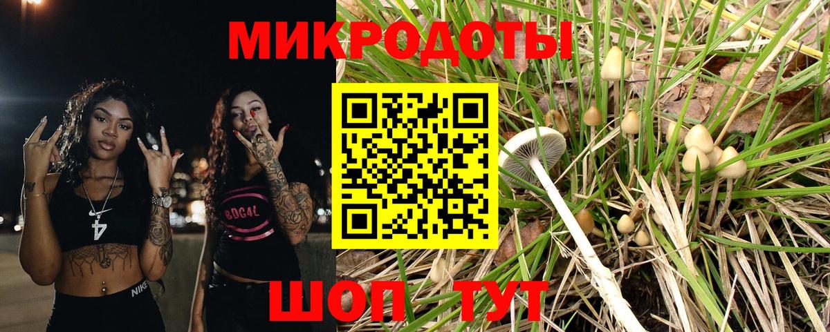 Галлюциногенные грибы прущие грибы Электрогорск