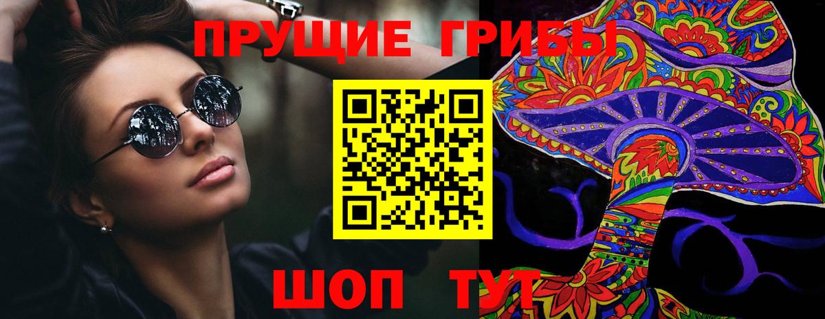 Электрогорск  Псилоцибиновые грибы мицелий  Вход с VPN 